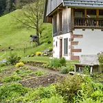 Metzgerbauernhof شقة